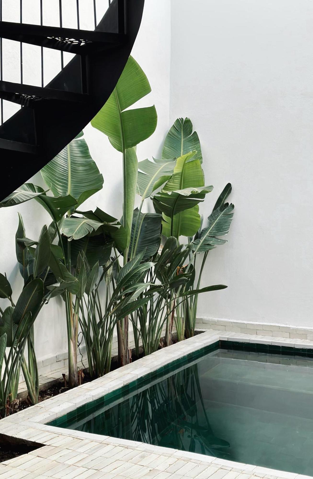 Riad De L'O / Serene Designer Oasis ~ Pool ~ Rooftop Villa Marrakesh Exterior foto